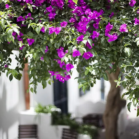 Quartara Boutique Panarea