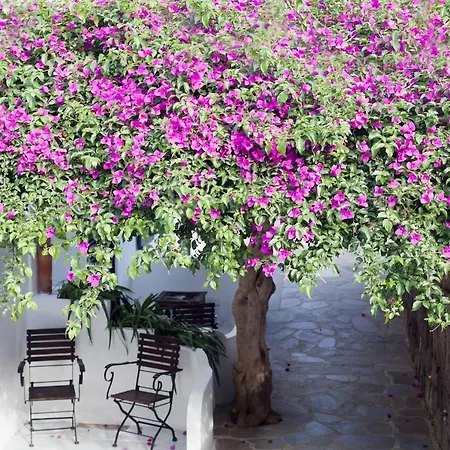 Quartara Boutique Hotel Panarea