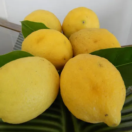 Quartara Boutique فندق 4*